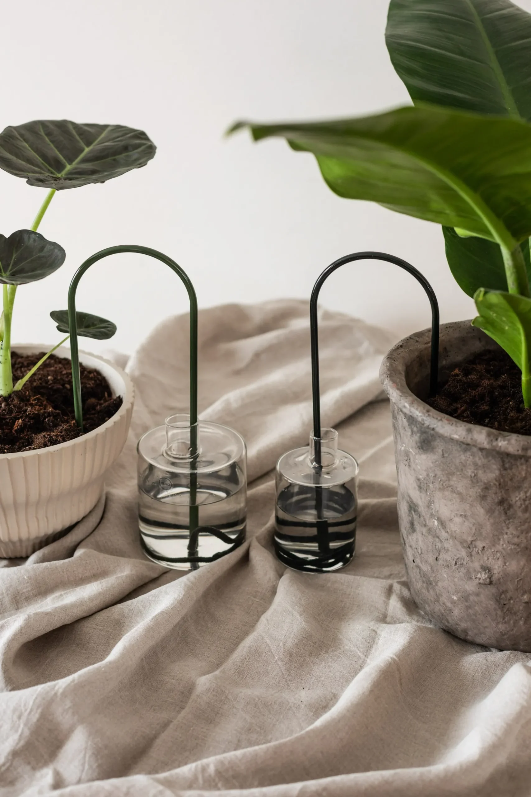 Selvvanding^PLANT Straws, Grøn