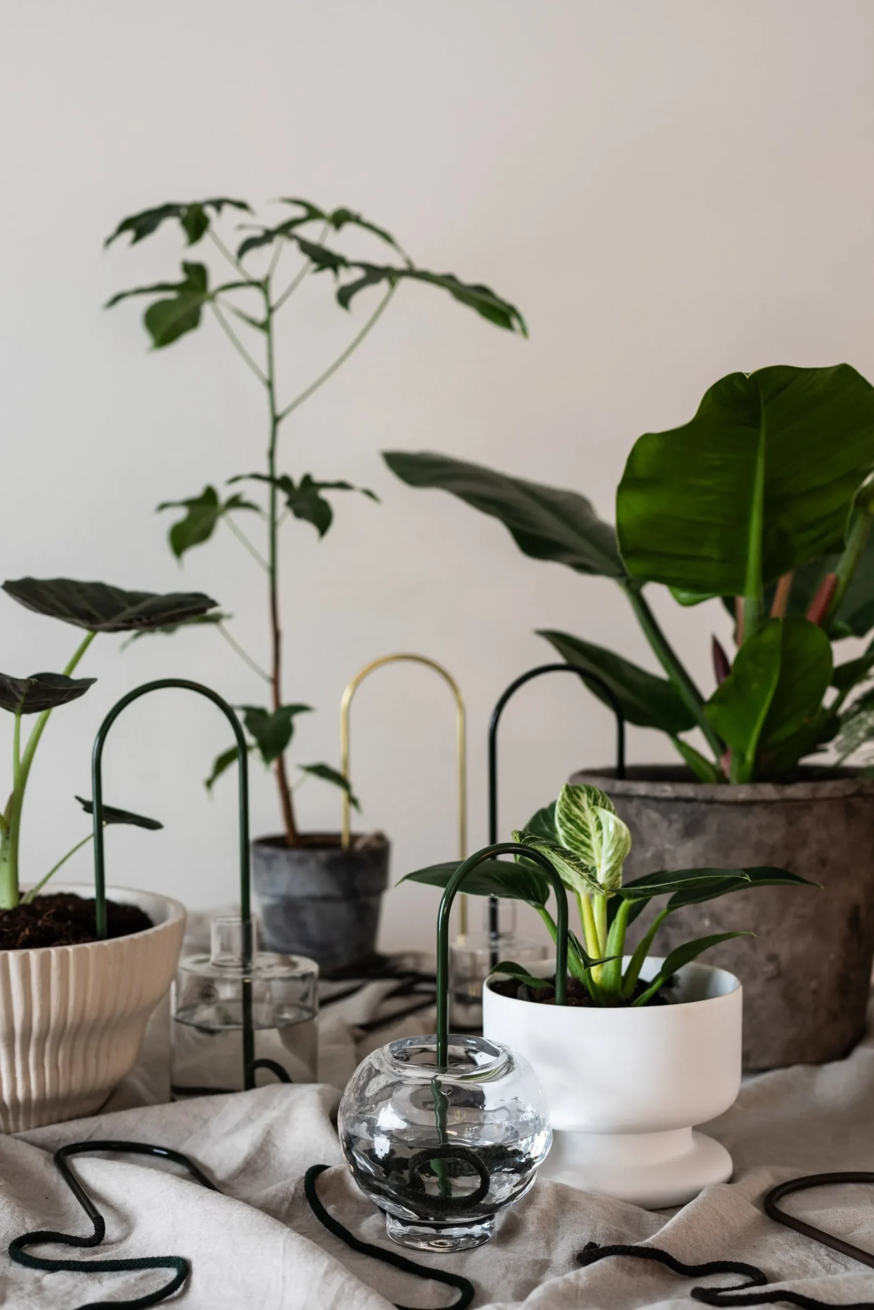 Selvvanding^PLANT Straws, Grøn