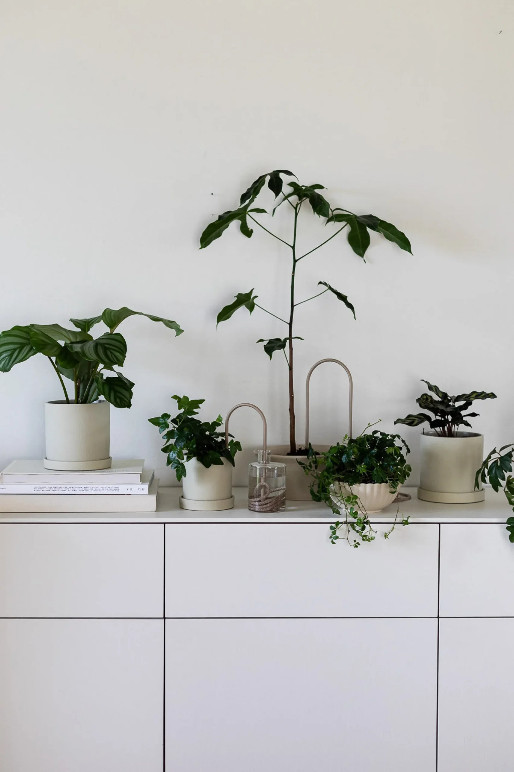 Selvvanding^PLANT Straws, sand