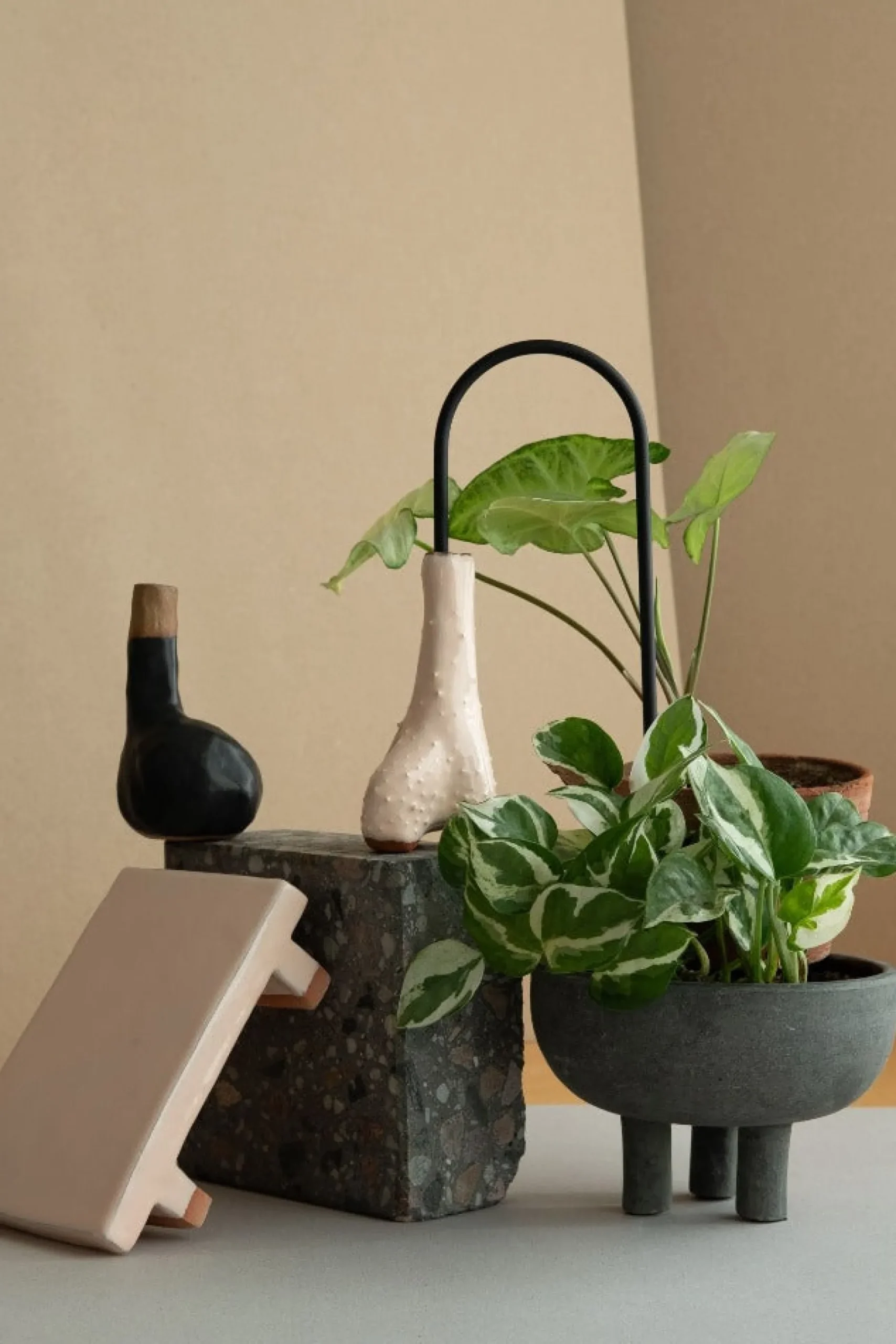 Selvvanding^PLANT Straws, sort