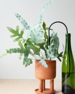Selvvanding^PLANT Straws, sort