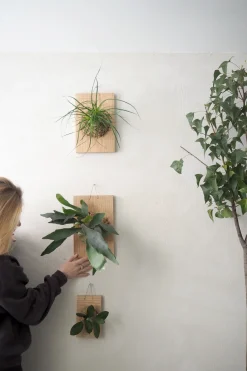 Plantetrofæer^PLANT etrofæ, Hjortetak, small