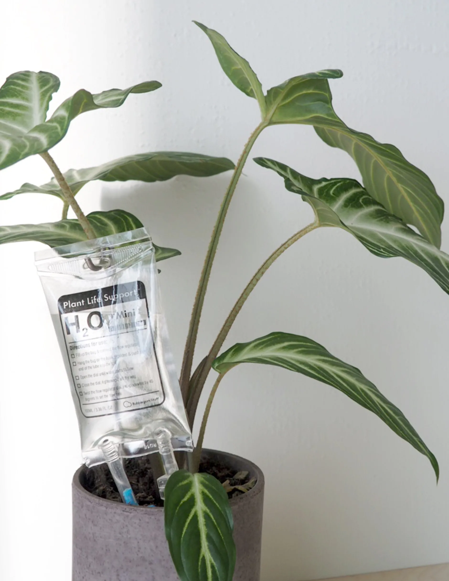 Selvvanding^PLANT Selvvandende Life support, lille