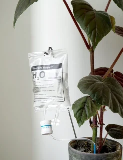 Selvvanding^PLANT Selvvandende Life support, stor