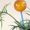 Selvvanding^PLANT Selvvandingsglas - Amber/Blå