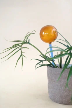 Selvvanding^PLANT Selvvandingsglas - Amber/Blå
