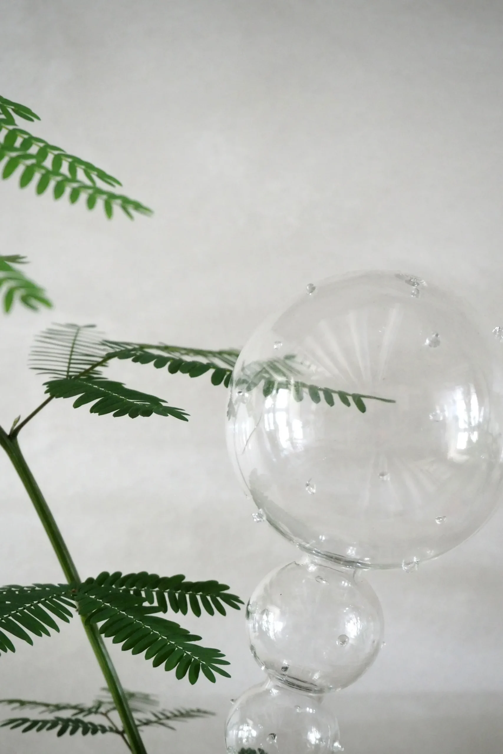 Selvvanding^PLANT Selvvandingsglas, 4 stk