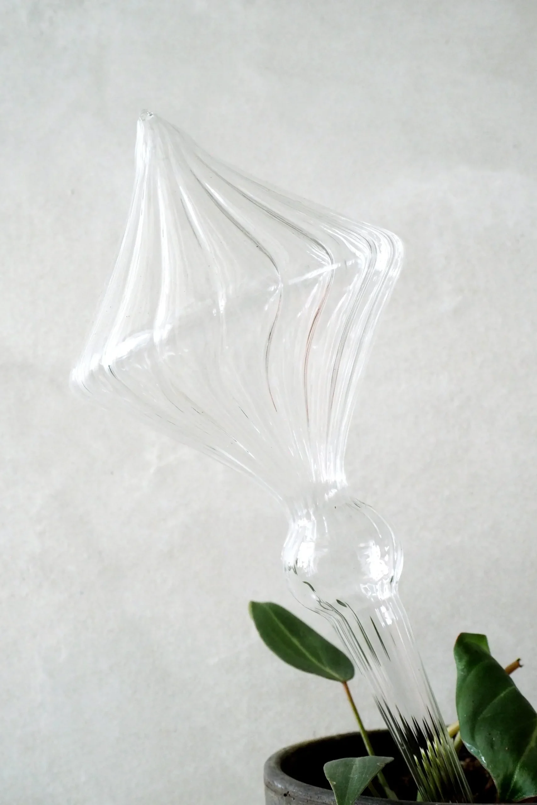 Selvvanding^PLANT Selvvandingsglas, 4 stk