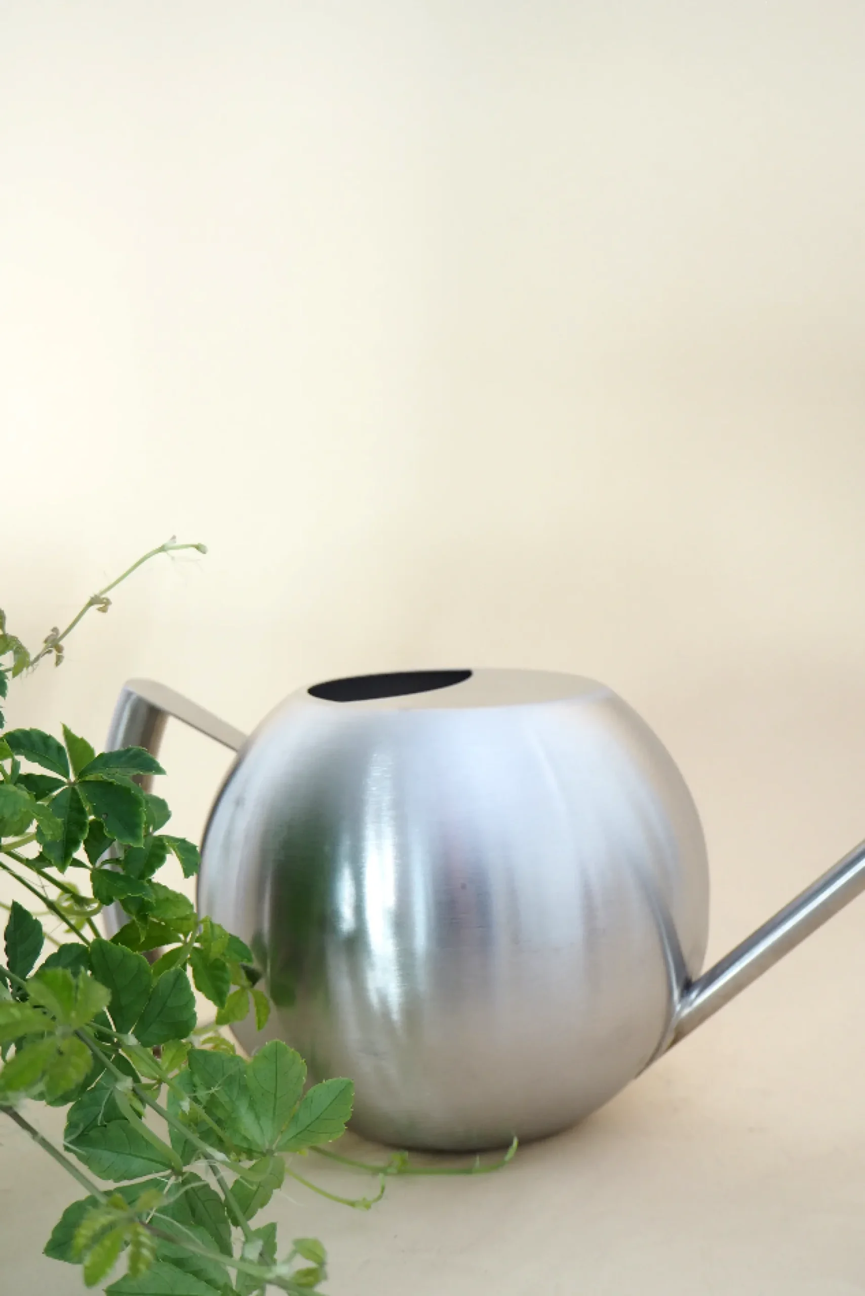 Vandkander^PLANT Stainless steel, rund vandkande