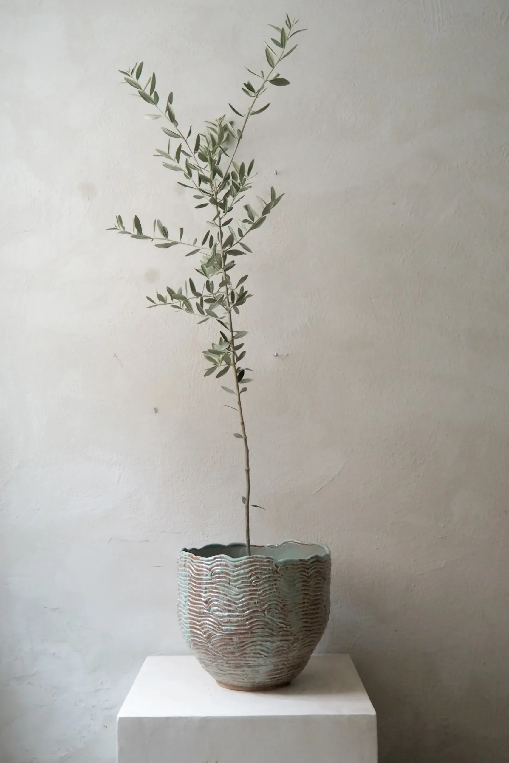 Håndlavede Krukker|Stor^PLANT StineMei - Wood blue