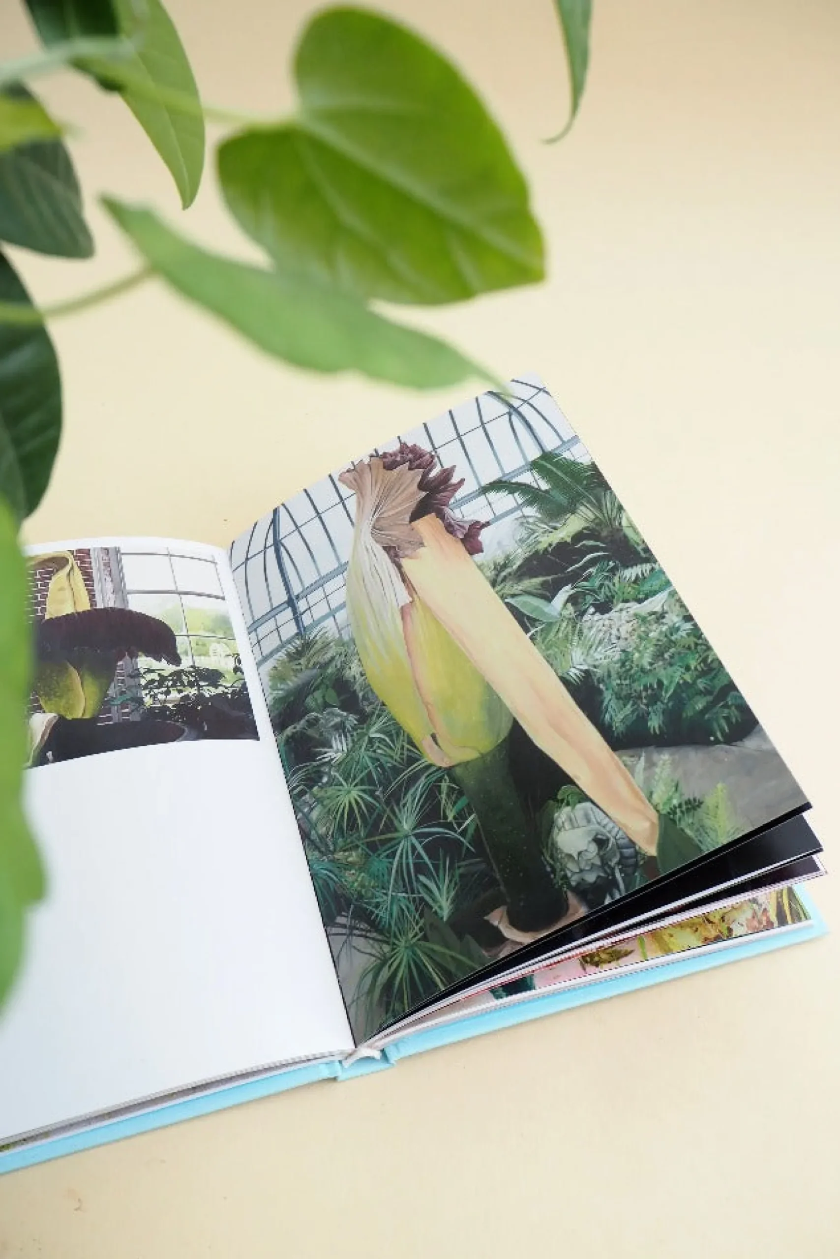 Bøger Og Kort^PLANT Strange s