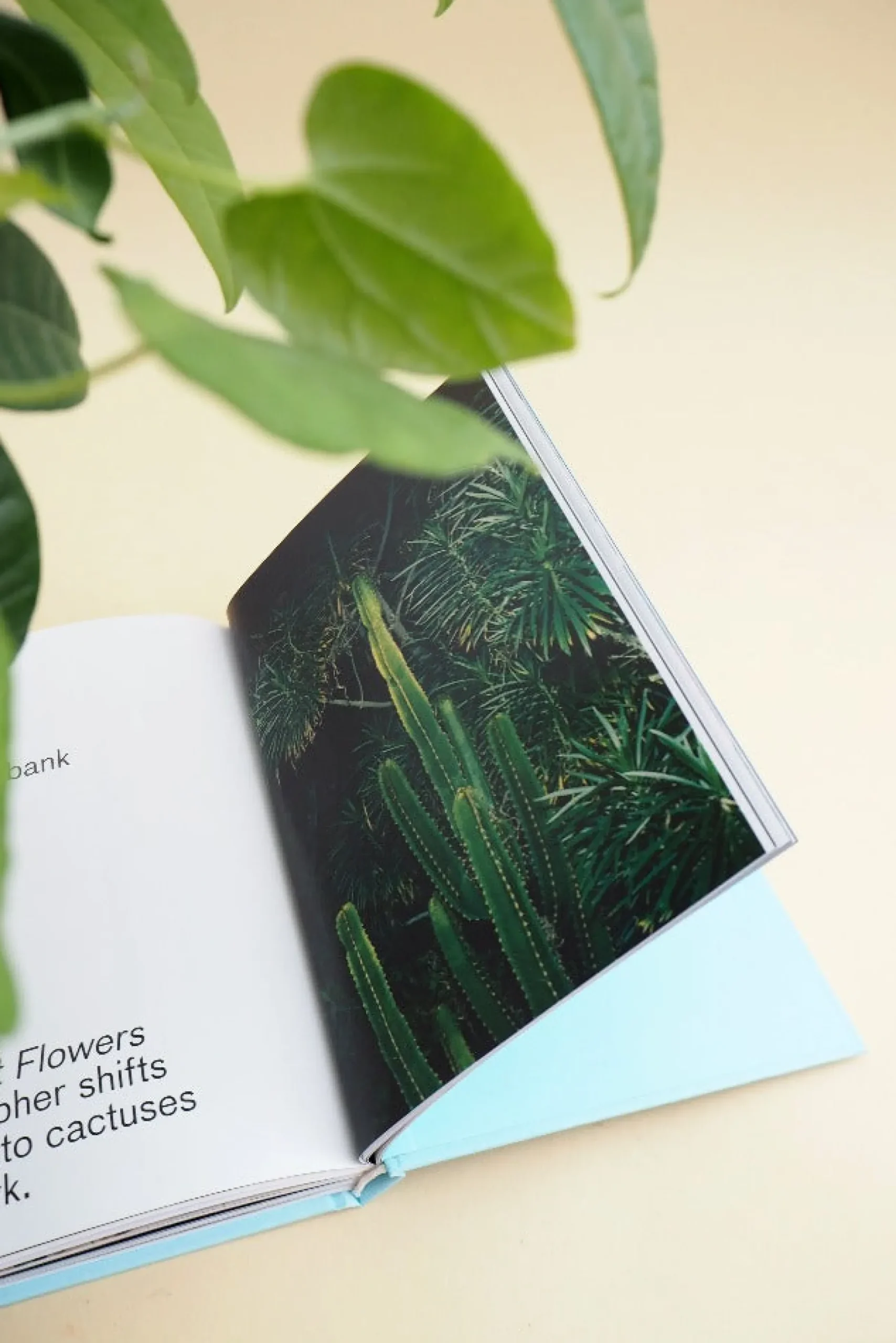 Bøger Og Kort^PLANT Strange s
