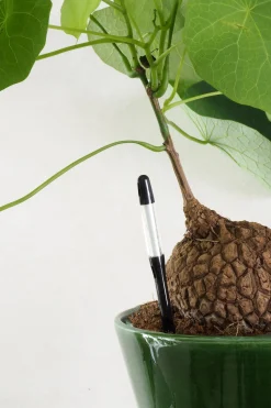 Fugtmålere^PLANT SUSTEE vand'o'meter