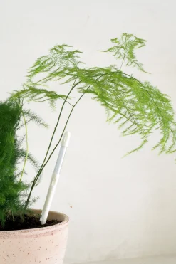 Fugtmålere^PLANT SUSTEE vand'o'meter
