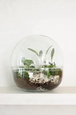Planter Og Værktøj Til Terrarier|Håndskabte Terrarier^PLANT Terrarie no. 10