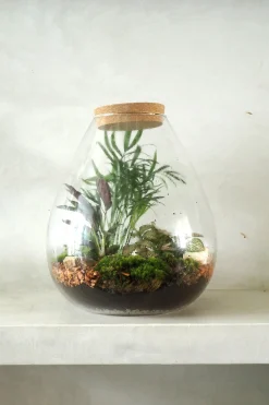 Planter Og Værktøj Til Terrarier|Håndskabte Terrarier^PLANT Terrarie no. 17
