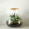 Planter Og Værktøj Til Terrarier|Håndskabte Terrarier^PLANT Terrarie no. 09