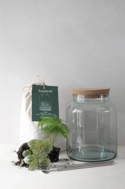 Planter Og Værktøj Til Terrarier|Terrarie Diy Kit^PLANT Terrariekit m. glas