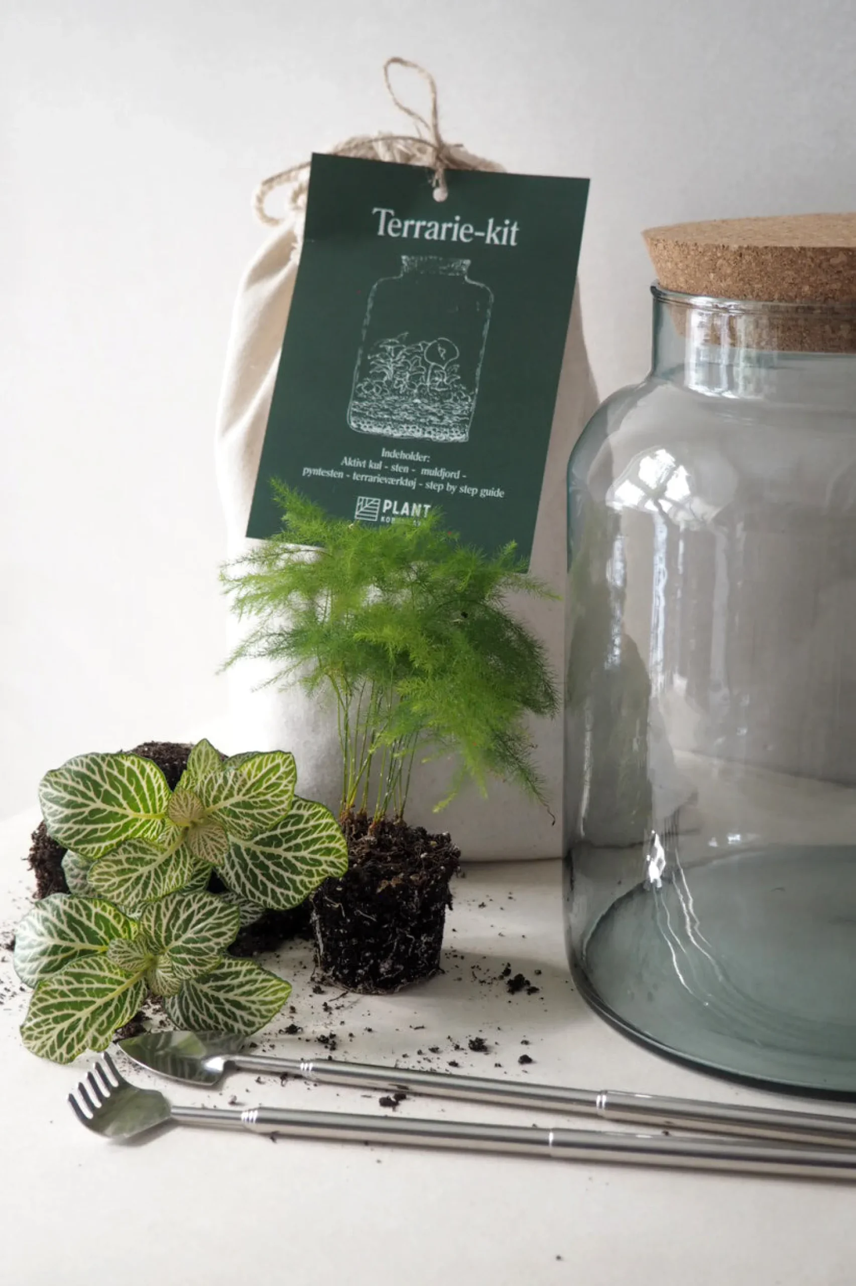 Planter Og Værktøj Til Terrarier|Terrarie Diy Kit^PLANT Terrariekit m. glas
