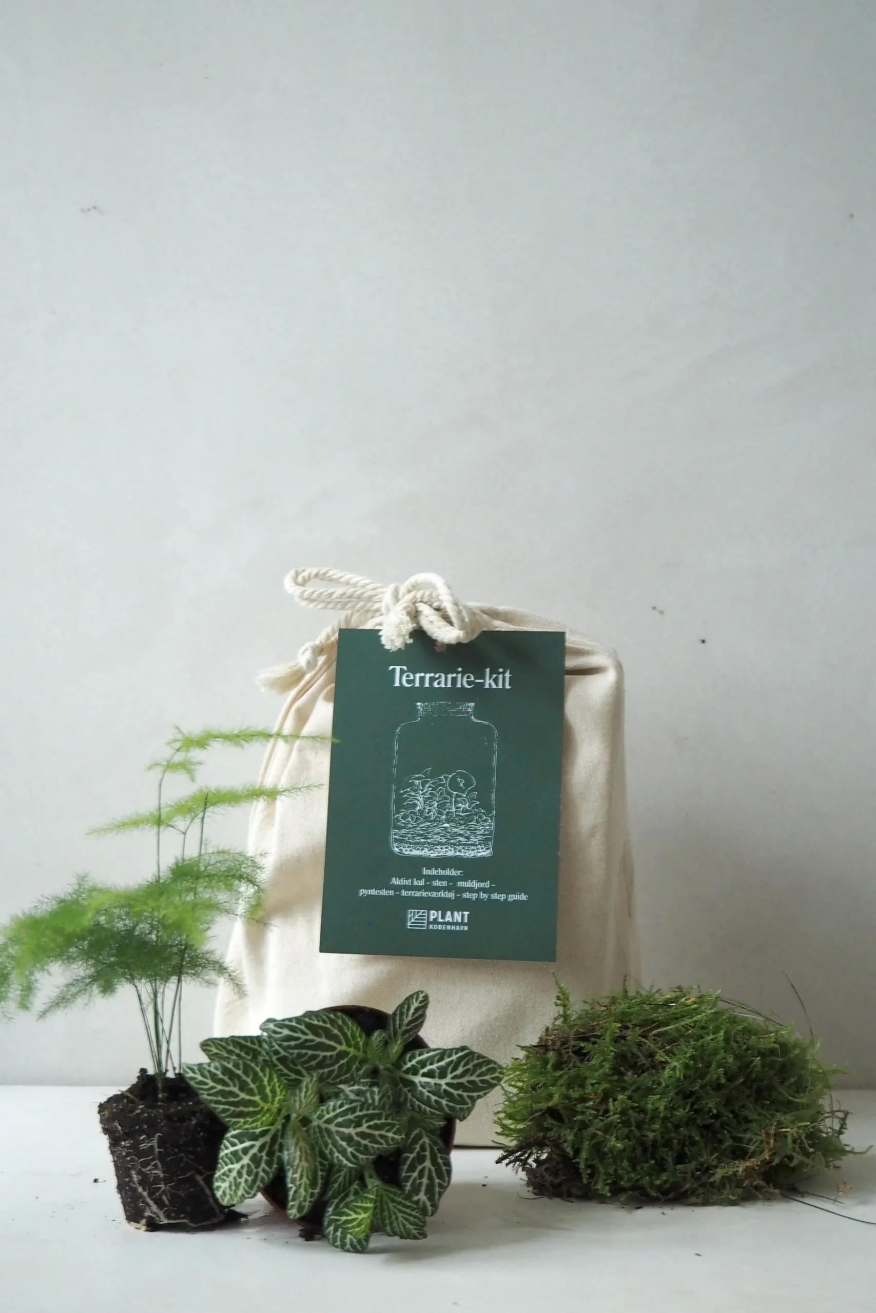 Planter Og Værktøj Til Terrarier|Terrarie Diy Kit^PLANT Terrariekit m. glas