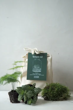 Planter Og Værktøj Til Terrarier|Terrarie Diy Kit^PLANT Terrariekit u. glas