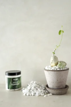 Topping Sten|Jord Og Omplantning^PLANT Topping sten - Hvid