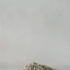 Topping Sten|Jord Og Omplantning^PLANT Topping sten - Natural