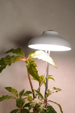 Plantelys Og Vækstlys^PLANT Vækstlampe, LED