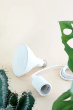 Plantelys Og Vækstlys^PLANT Vækstpære fuld spektrum