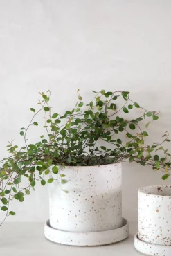 Håndlavede Krukker|Glaserede Krukker^PLANT V.O krukke - hvid, small