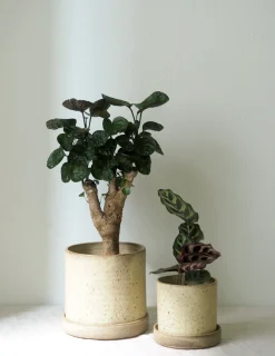 Håndlavede Krukker|Glaserede Krukker^PLANT V.O krukke - sand, small