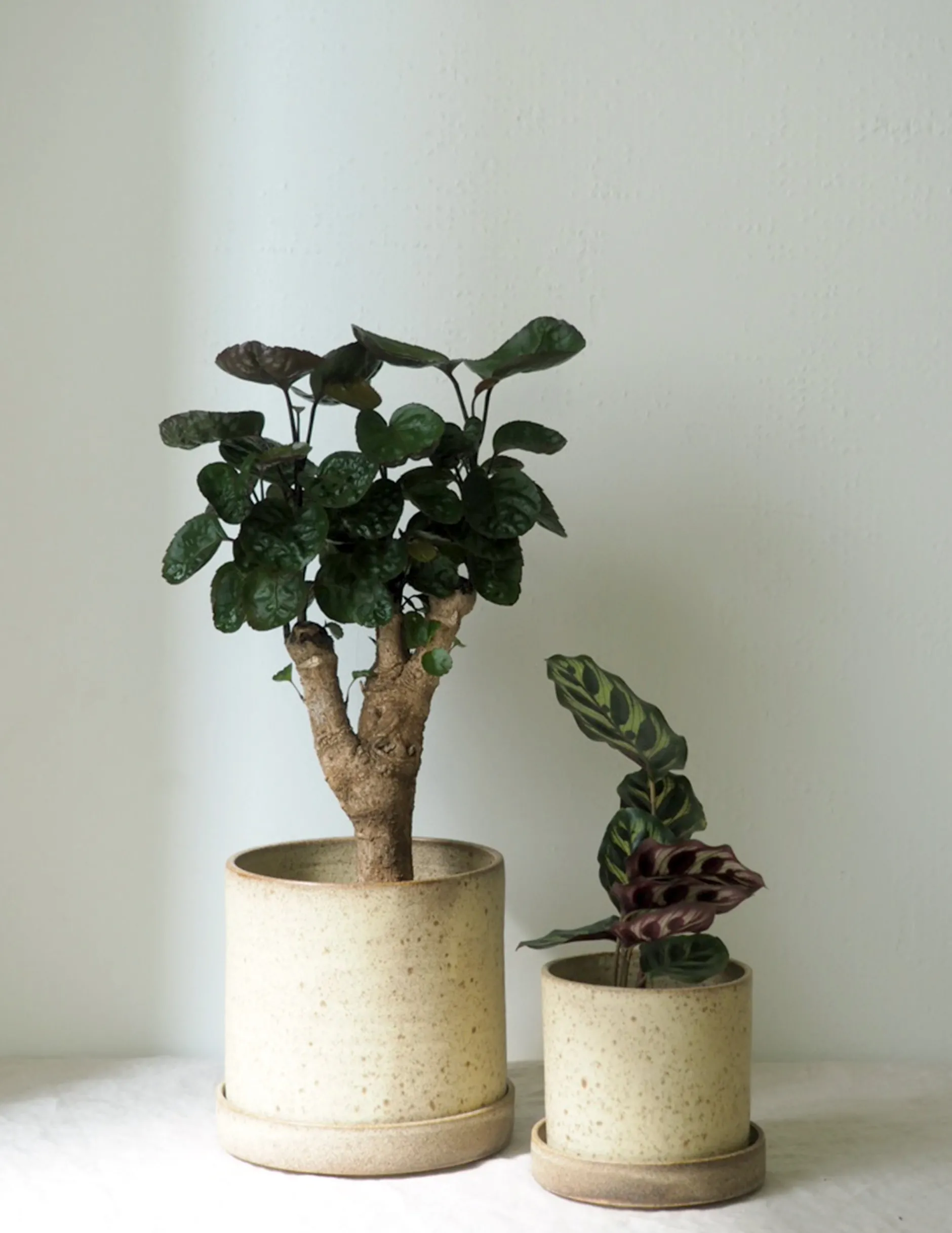 Håndlavede Krukker|Glaserede Krukker^PLANT V.O krukke - sand, small