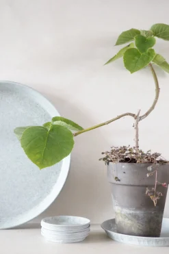 Underskåle^PLANT Zink underskål